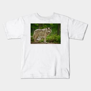 Grey Wolves Kids T-Shirt